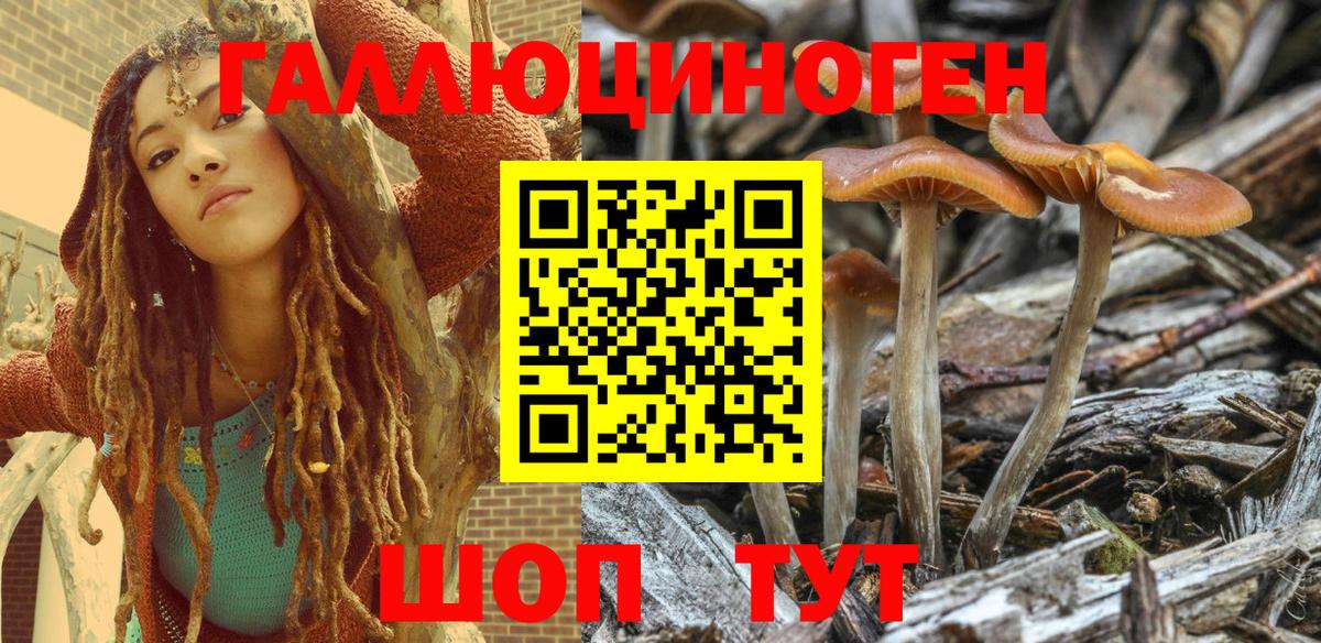 Ликино-Дулёво  Псилоцибиновые грибы GOLDEN TEACHER  где купить наркоту  Вход с VPN 
