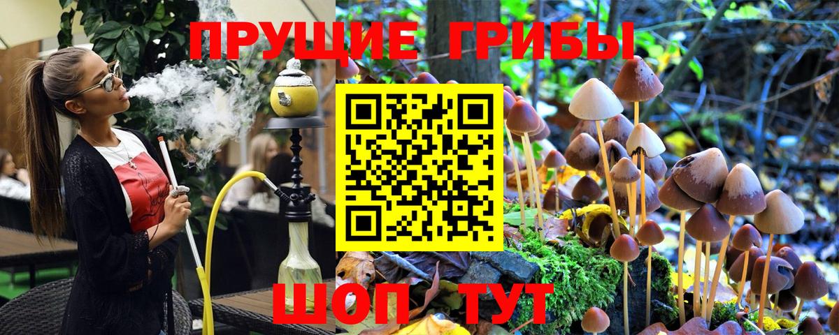 Псилоцибиновые грибы Psilocybine cubensis Ликино-Дулёво
